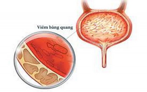 Hạt dưa hấu làm thuốc